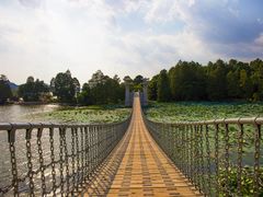 -东湖落雁景区