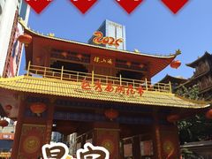 -越秀西湖花市(广州城市广场花卉店)