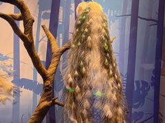 -陕西自然博物馆