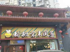 -新概念来凤鱼(璧山店)