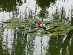 android_upload_pic-西部兰花园生态园