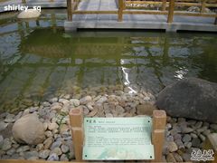 -上海都市菜园