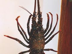 -Green Lobster Waskaduwa Seafood Restaurant