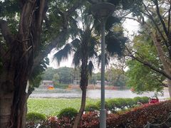 -荔湾湖公园