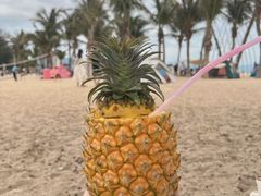 -玫瑰海岸文化旅游度假区