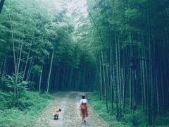 -黄公望隐居地