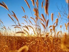 -野鸭湖国家湿地公园