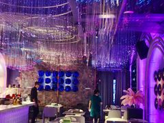 -Darling Queen·Mini·Live·House