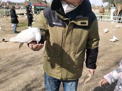 -南通洲际绿博园