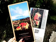 -青岛德国总督楼旧址博物馆