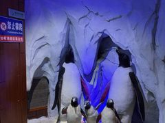 -太平洋海底世界