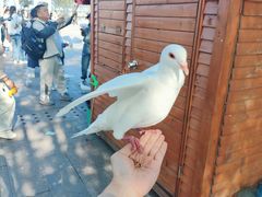 -天津妈祖文化园