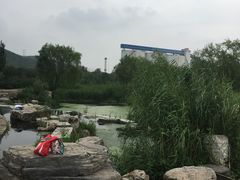 -永定河休闲森林公园