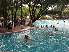 游乐设施-宝墨园景区