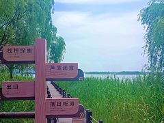 -苏州太湖湖滨国家湿地公园