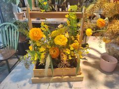 -自由生长植物工作室(深港花卉中心店)