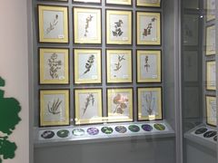 -房山世界地质公园博物馆