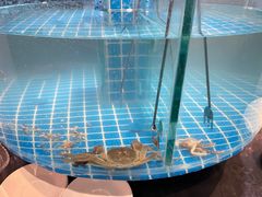 -汉来海港·海鲜自助餐厅(上海七宝领展广场店)