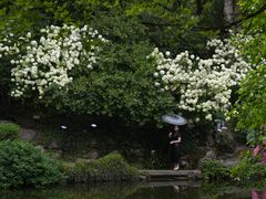 -惠山古镇·寄畅园