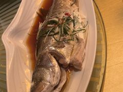 -视界美食自助餐厅·石家庄希尔顿酒店