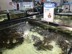 -盒马渔市餐厅