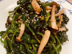 小蘑菇调菠菜-西北45°(世茂广场店)
