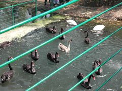 -长白岛森林公园