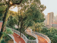 -金鸡山公园