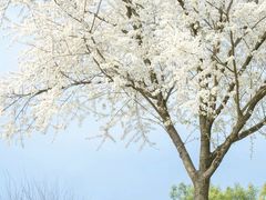 -全季酒店(重庆上清寺牛角沱地铁站店)