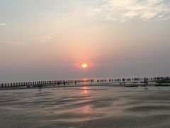 -日照海滨国家森林公园