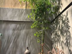 -本处·素食·融合料理(南油店)