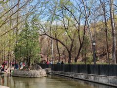-白水寺森林公园