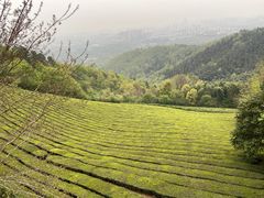 -敬亭山风景名胜区