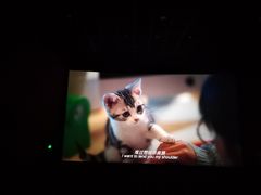 -万达影城(城中城广场IMAX店)