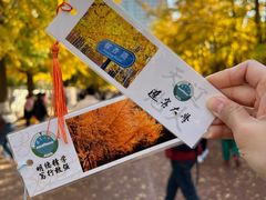 -辽宁大学(崇山校区)