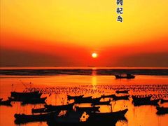 -枸杞岛