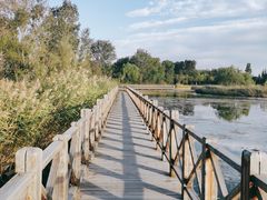 -野鸭湖国家湿地公园