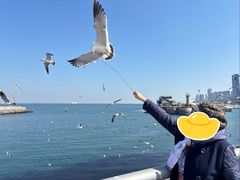-东港音乐喷泉广场