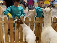 -Pandora潘多拉珠宝(武商广场店)