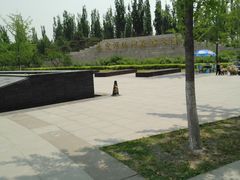 -永定河休闲森林公园