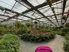 -南宫五洲植物乐园