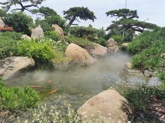 -罗红摄影艺术馆