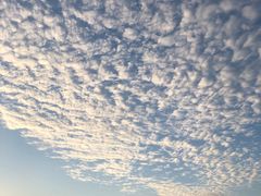 -三利音·浦之舟(滨江大道店)