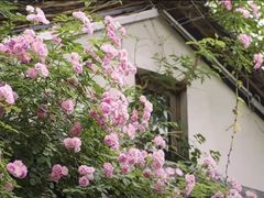 -五柳巷历史街区