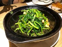 -小放牛炒菜馆(裕华万达店)