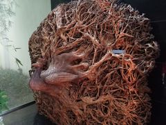 -长沙简牍博物馆