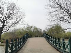 -塘沽森林公园