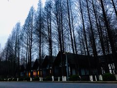 -太阳岛度假酒店