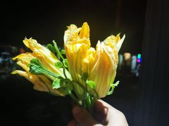 南瓜花-晓雯人家