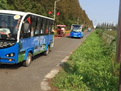 -上海长兴岛郊野公园